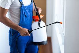 Best Residential Pest Control  in Giddings, TX